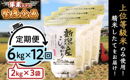 31-K6ZB【2026年2月発送開始】新潟県産コシヒカリ6kg（2kg×3袋）【12ヶ月連続お届け】