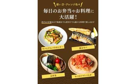 塩さばフィレ 3kg(約20枚前後） / 切り身 切身 サバ 鯖 焼き魚 甘塩 冷凍 おかず お弁当 和歌山県 田辺市 / 切り身 切身 サバ 鯖 焼き魚 甘塩 冷凍 おかず お弁当 和歌山県 田辺市