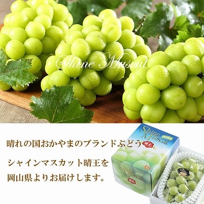 【2025年7月発送】岡山県産　シャインマスカット　晴王　600g×1房【配送不可地域：離島・北海道・沖縄県】