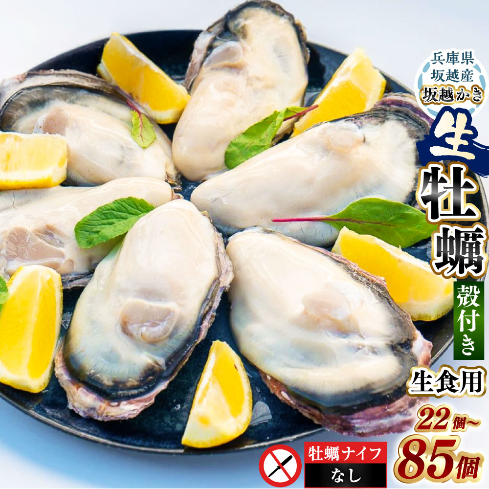 【ふるさと納税】＜選べる容量＞坂越かき 殻付き 22個 ・ 33個 ・ 54個 ・ 85個 【ナイフなし】 ／ 牡蠣 かき カキ オイスター サムライオイスター 魚介 貝 海産物 ギフト 坂越湾 兵庫県 赤穂市 冷蔵 送料無料