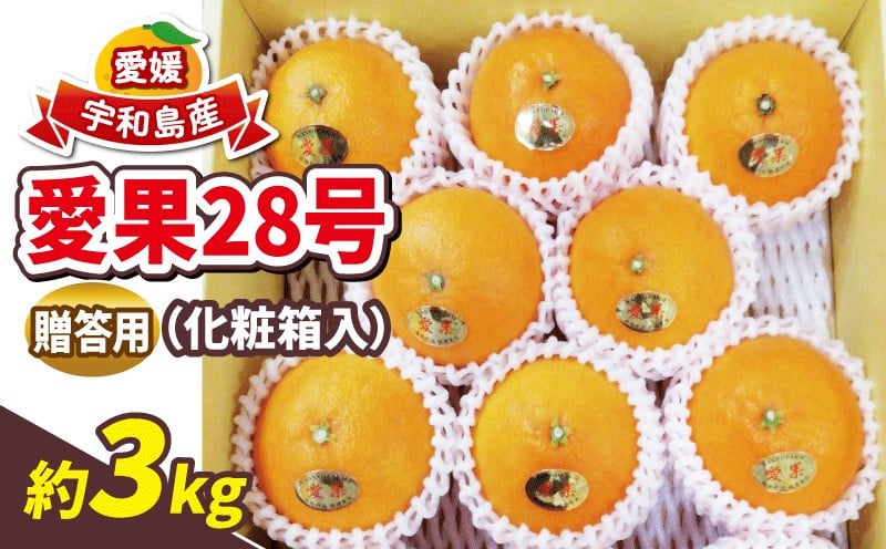 
            贈答用蜜柑 愛果28号 3kg 化粧箱入 南予ファーム 先行予約 贈答用みかん 愛媛みかん 愛媛ミカン 愛媛蜜柑 ハウスみかん ハウス蜜柑 高級 ブランド 限定 品種 甘い ゼリー プルプル 果物 くだもの フルーツ 柑橘 みかん mikan 農家直送 国産 愛媛 宇和島 B022-082002
          