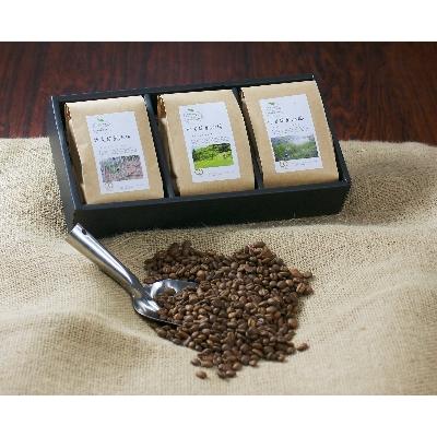 ふるさと納税 河南町 竹炭焙煎珈琲　3袋セット(豆) / コーヒー スペシャルティブレンド 里山 大阪府 特産品