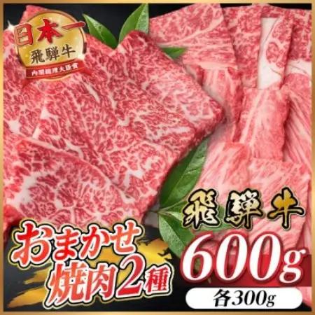 飛騨牛　おまかせ焼肉2種セット約600g(各約300g)訳あり　BBQ　上カルビ・ロースなど【配送不可地域：離島】【1738939】