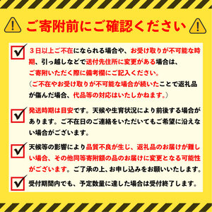 【2026年発送】 訳あり梨 品種おまかせ梨 約5kg