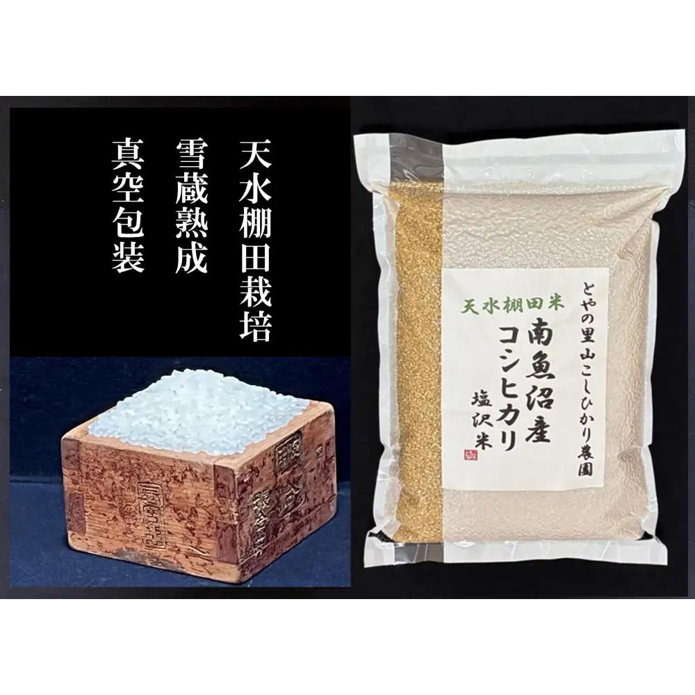 【令和8年産新米予約】【天水棚田米】雪蔵熟成塩沢産コシヒカリ玄米5kg1回「とやの里山継承プロジェクト」【2026年10月下旬より1ヶ月以内に順次発送予定】