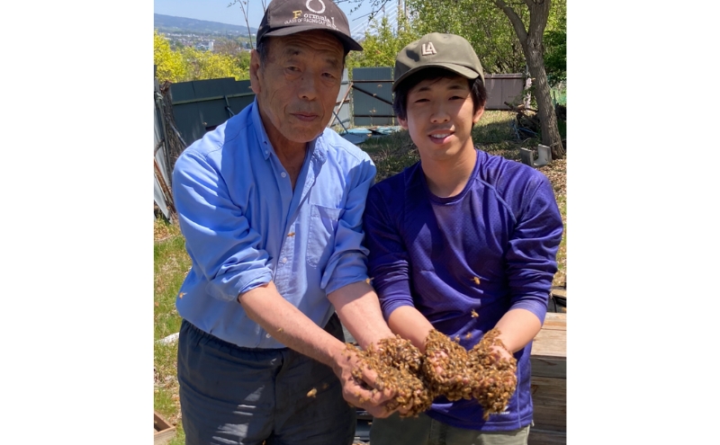 国産生はちみつ　百花・クリ　600g 2本セット　蜂蜜 食べ比べ 上田市 長野県