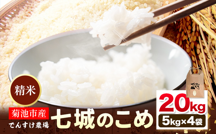 令和7年産 精米 七城のこめ 20kg《30日以内に出荷予定(土日祝除く)》熊本県 菊池市 米 白米 ヒノヒカリ でんすけ農場---309-4007---