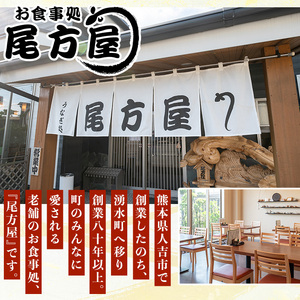 y509 国産！うなぎ白焼き(4尾・タレ付き) 国産 九州産 鰻 ウナギ 無頭 魚 魚介類 かばやき 蒲焼 蒲焼き しろやき 白焼 おかず 特産品 お土産 ギフト プレゼント 冷蔵 【尾方屋】