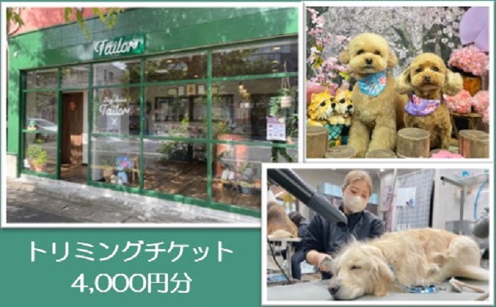 NO972 Dog Salon Tailor チケット 4000円分 / 犬 ドッグ わんちゃん ワンちゃん  トリミング ペットトリミング