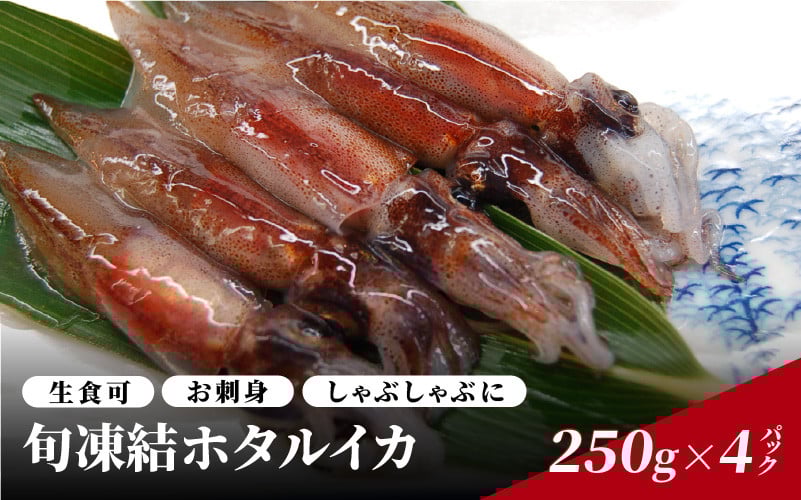 
            【先行予約】旬凍結ホタルイカ 小分け約250g×４パック ※2026年4月上旬頃より順次発送予定 / 生食可 お刺身 しゃぶしゃぶに
          