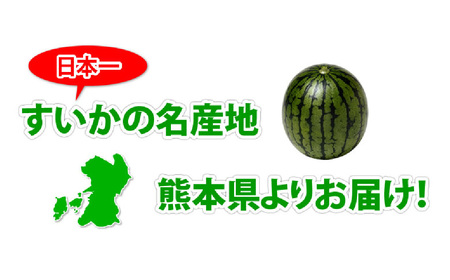 訳あり 大玉すいか 1玉 約6kg〜9kg 送料無料 スイカ すいか 益城町産 お取り寄せ お取り寄せグルメ 西瓜 フルーツ 【2025年5月下旬～7月下旬発送予定】