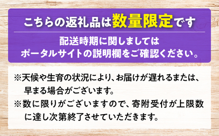 【先行予約】【8月下旬から9月上旬に順次発送】みらさかピオーネ（露地栽培）1kg 2房入 フルーツ ギフト ピオーネ ぶどう 果物 三次市/みらさかピオーネ直売所[APBE003]