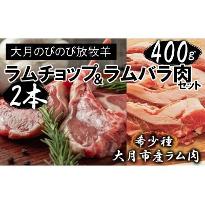 ふるさと納税 大月市 大月のびのび放牧羊【ラムチョップ&amp;ラムバラ肉セット】ラムチョップ2本(約200g)・バラ
