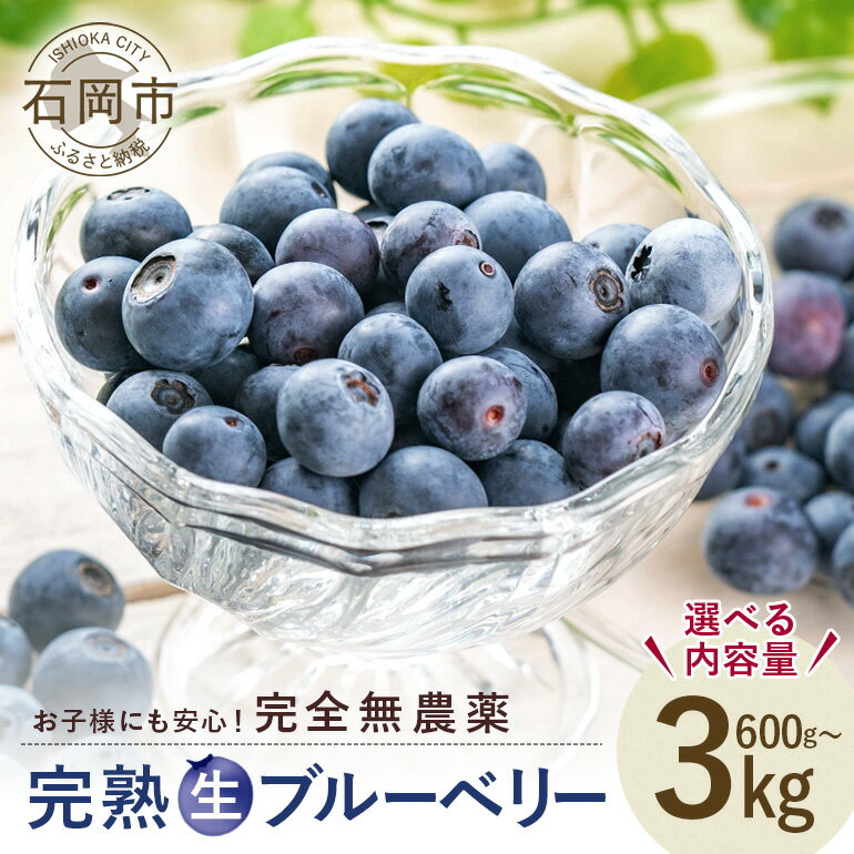 【ふるさと納税】【 2025年 先行予約 】 元気に育った ブルーベリー 選べる 600g 1.2kg 1.5kg 3kg 生 農薬 栽培期間中 不使用 果物 フルーツ 新鮮 1.5キロ 手摘み 国産 産地直送 農家直送 産直 個包装 小分け スムージー デザート 茨城 茨城県 石岡市 (G188)