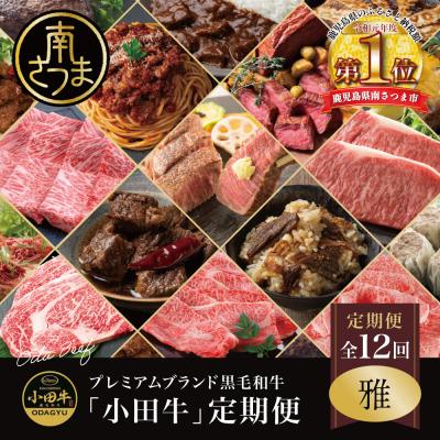 ふるさと納税 南さつま市 【全12回】プレミアムブランド「小田牛」定期便 [〜雅〜]