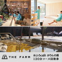 【ふるさと納税】【 THE FARM 】 おふろcafe かりんの湯 平日限定 120分コース 回数券 11枚 _ 利用券 体験 観光 ギフト プレゼント 温泉 サウナ【配送不可地域：離島・沖縄県】 【1373919】