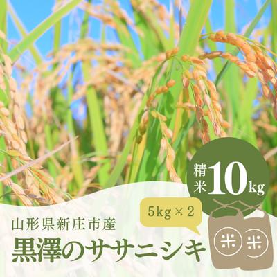 ふるさと納税 新庄市 令和8年　黒澤のササニシキ　精米　10kg(5kg×2)