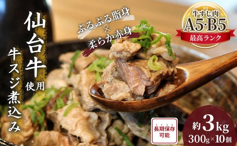 牛すじ煮込み 3kg ( 300g × 10個 ) セット 詰め合わせ 仙台牛 国産牛 国産牛肉 牛肉 肉 牛すじ