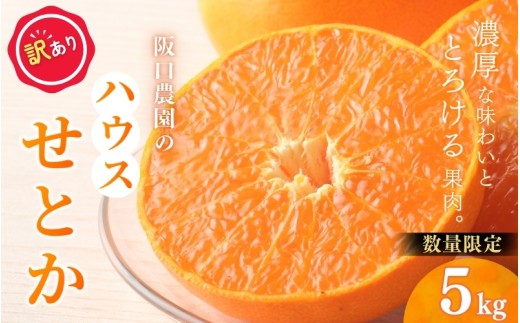 【先行予約】【訳あり】サイズ混合 5kg 阪口農園の ハウスせとか（マルチ栽培）【2027年2月中旬から3月中旬に順次発送予定】 わけあり せとか ハウス 温室 みかん ミカン 蜜柑 柑橘 フルーツ 果物 くだもの 旬 産地直送 農家直送【msa013】
