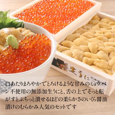 ふるさと納税 北斗市 「うにむらかみ」うに屋のうに・いくらセット |  | 01