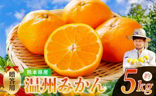 ノナカ柑橘農園 の 温州みかん 5kg | フルーツ 果物 くだもの 柑橘 みかん ミカン 温州ミカン 熊本県 玉名市