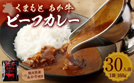 ビーフカレー 熊本県産あか牛使用 【くまもとあか牛ビーフカレー】 30人前 カレー あか牛