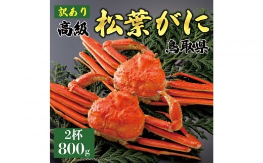 【2026年11月発送】特撰 松葉がに（茹）【訳あり】800g超の大きいサイズ 食べ応えあり 特大2杯