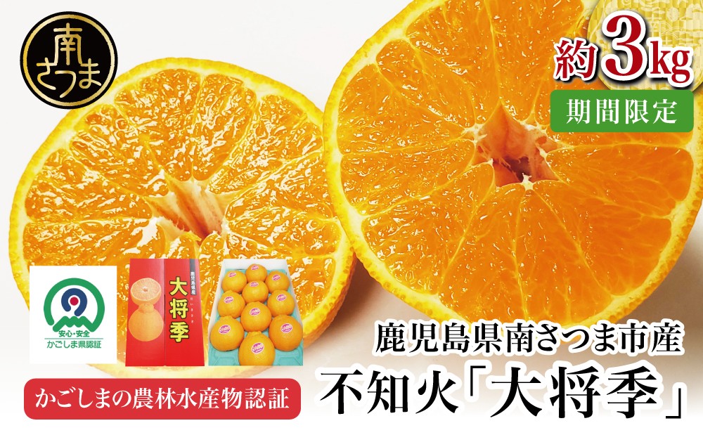 
                  【11月末～12月発送】ブランド不知火「大将季」 約3kg入り化粧箱 （8玉～12玉） 国産 果物 フルーツ 旬 柑橘 みかん 不知火 しらぬい くだもの ハウス栽培 常温 鹿児島県 南さつま市 金峰町産
                