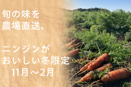 有機ニンジン　農薬不使用　有機JAS認証　冬季限定（12月、1月、2月発送）旬野菜 2133 オーガニック　無農薬　化学肥料不使用　甘みが多く苦味が少ない　人参ジュースにしてごくごく飲めちゃう　にんじ
