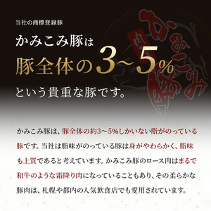 かみこみ豚のポークチャップ 200g×2枚×6パック 計12枚 合計 2.4kg 豚肉 豚丼 北海道  真空 豚 ポーク F4F-2363