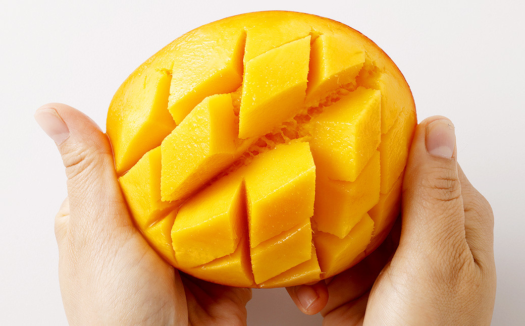 ＜宮崎県産完熟マンゴー 3L×2玉（約900g）＞