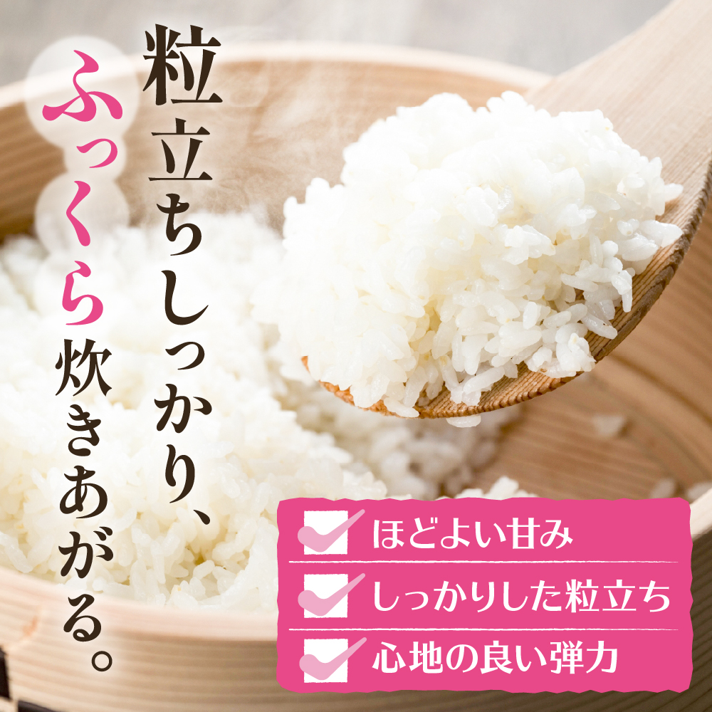 【令和6年産 先行予約】はえぬき15kg (2025年4月前半送付)JA提供 山形県 東根市 hi002-027-041