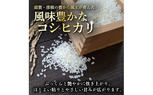 令和8年産 新米 コシヒカリ 白米 5kg ひこにゃん米 米 コメ お米 5キロ 米5kg ご飯 ごはん こしひかり おにぎり お弁当 滋賀 彦根