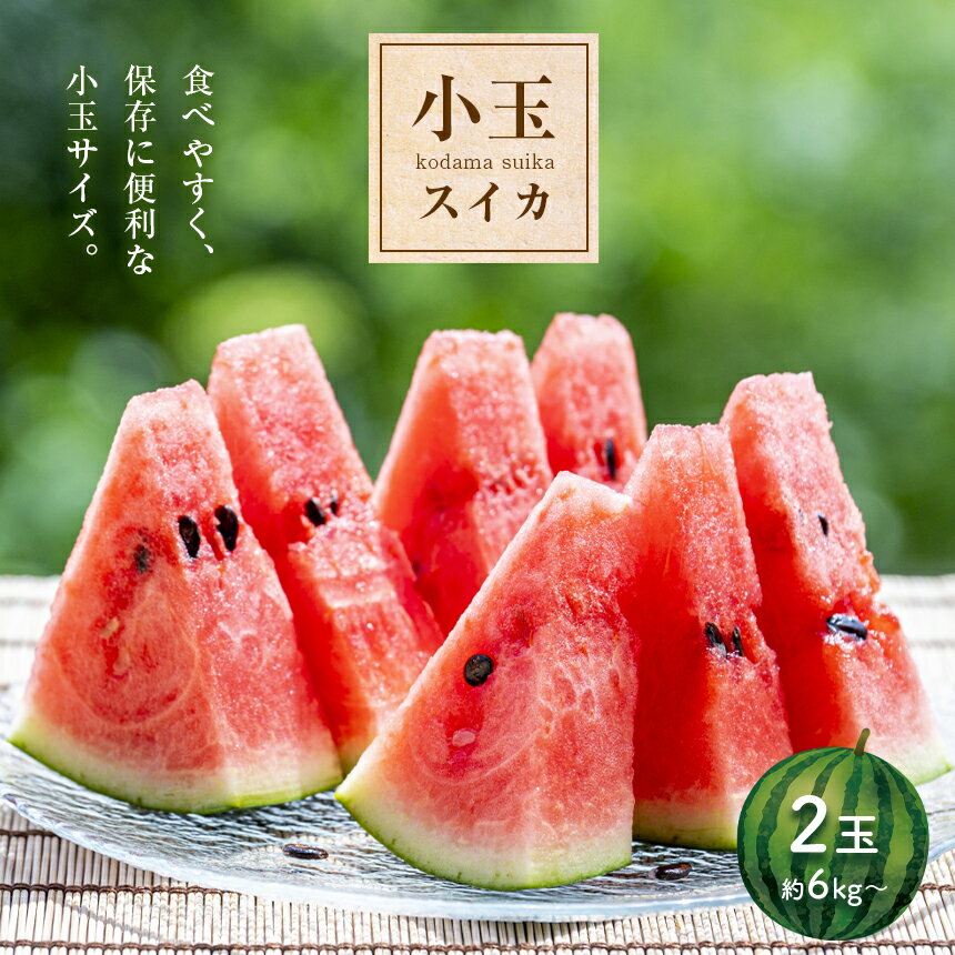 【ふるさと納税】 小玉 スイカ 2玉 『かめまる食堂』 先行予約 赤色 熊本県 すいか 果物 フルーツ 西瓜 くまもと産 甘い | 玉名 熊本