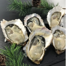 【毎月定期便】北海道厚岸町産 牡蠣 生食用 殻付カキ 「マルえもん」Lサイズ20個全6回