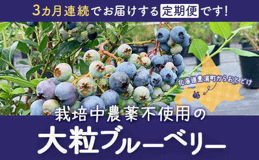 【定期便3カ月】北海道 豊浦町産 冷凍 ブルーベリー 1kg 栽培期間中農薬不使用  TYUS008