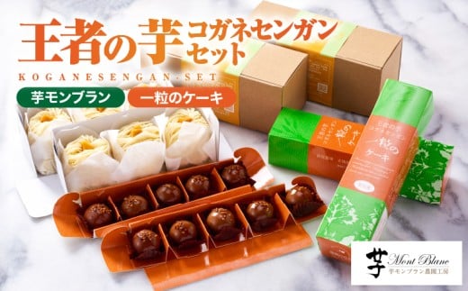 【 期間限定 生活応援 】1978 王者の芋コガネセンガンセット　KN035-001-cp