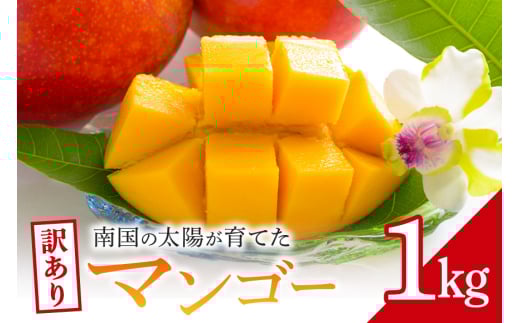 訳ありマンゴー 1kg 沖縄県産 マンゴー 訳あり 1キロ 訳アリ 国産 完熟マンゴー 果物 南国 くだもの フルーツ 完熟 夏 旬 特産品 沖縄 取り寄せ 産地直送 農家直送 甘い 濃厚 糸満市