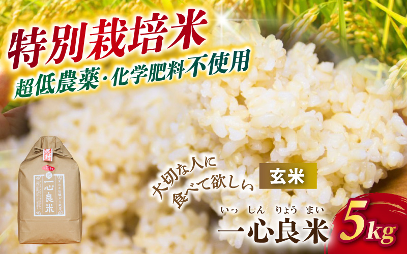 【令和8年産米】 真庭市産コシヒカリ 米ぬか 牡蠣殻栽培  一心良米 玄米 5kg / お米 岡山県 こしひかり 人気 ブランド 2026年産 【tkns021-02】 5kg
