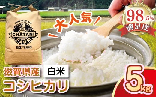
                  令和7年産 コシヒカリ 白米 5kg 【5kg×1袋】【V011W1】 5kg 米 こしひかり コシヒカリ おこめ 贈り物 人気米 ご飯 白米 コメ 贈答 滋賀県 近江八幡市
                