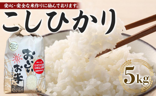 【期間限定】【令和6年産 新米】こしひかり 5kg（農薬・化学肥料不使用）【米 こめ お米 白米 精米 ブランド米 ご飯 人気 徳島 】