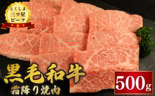 牛肉 黒毛和牛 焼肉用 500g 霜降り とくしま三つ星ビーフ 冷凍 お祝い 誕生日 記念日 ギフト 贈答 プレゼント お取り寄せ グルメ 送料無料 徳島県 阿波市 肉の藤原