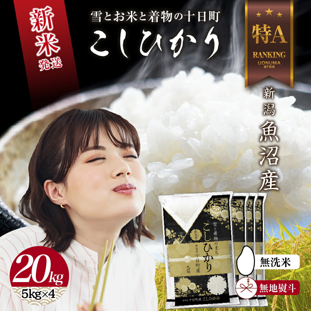 【ふるさと納税】無地のし 無洗米 令和7年産 新潟県 魚沼産 コシヒカリ お米 20kg （5kg×4袋）精米済み お米 こめ 白米 こしひかり 送料無料 魚沼 十日町　お届け：寄附確認後、順次発送