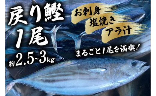 
                  【期間限定発送】戻り鰹 1尾 約2.5～3kg [さんりくみらい 宮城県 気仙沼市 20564216] 生鮮 かつお 鮮魚 季節限定
                