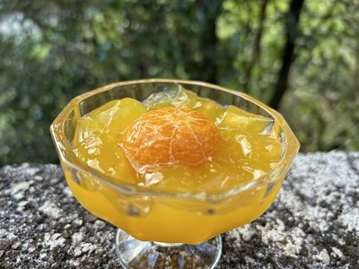 【熊野みかん&甘夏みかんゼリー17個☆】包装なし・ご家庭用