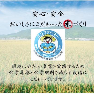 ふるさと納税 日高町 【令和7年10月〜順次発送】★令和7年産新米★米「きぬひかり」5kg |  | 01