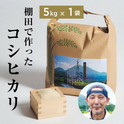 【ふるさと納税】青野山の湧水と朝晩の寒暖差が育んだ棚田の甘～い米「コシヒカリ」(白米5kg×1袋)(令和7年産)【1524991】