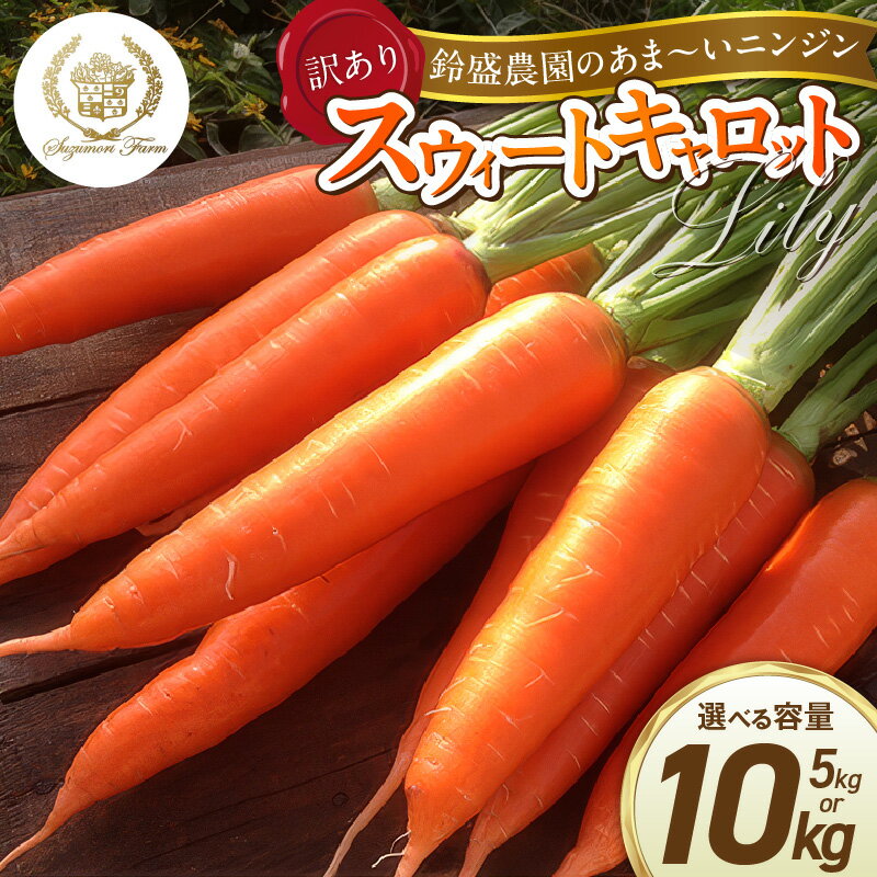 【ふるさと納税】にんじん スウィートキャロットリリィ 訳あり 家庭用 選べる 容量 5kg 10kg TVで紹介 甘い 食べやすい ジューシー サラダ ジュース スムージー 鈴盛農園 野菜 生鮮食品 食品 お取り寄せ 愛知県 碧南市 送料無料