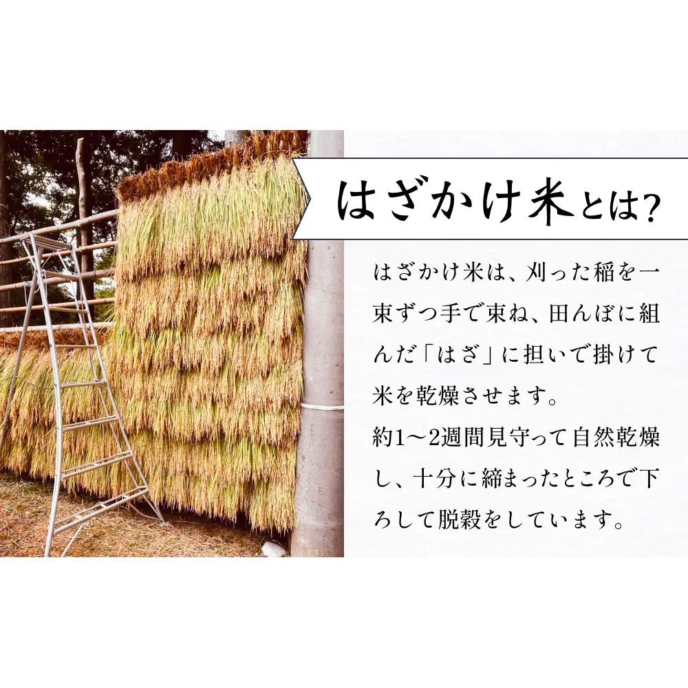 【 先行予約 】 令和8年産 富山県産 コシヒカリ はざかけ米 2kg 恋米（ここまい） ー 天風穂 （ あまほ ）ー ＜2026年10月初旬以降 順次発送予定＞