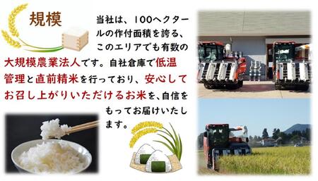 令和6年産 秋田県産あきたこまち 一等米 農家直送 無洗米10kg　内小友ファーム